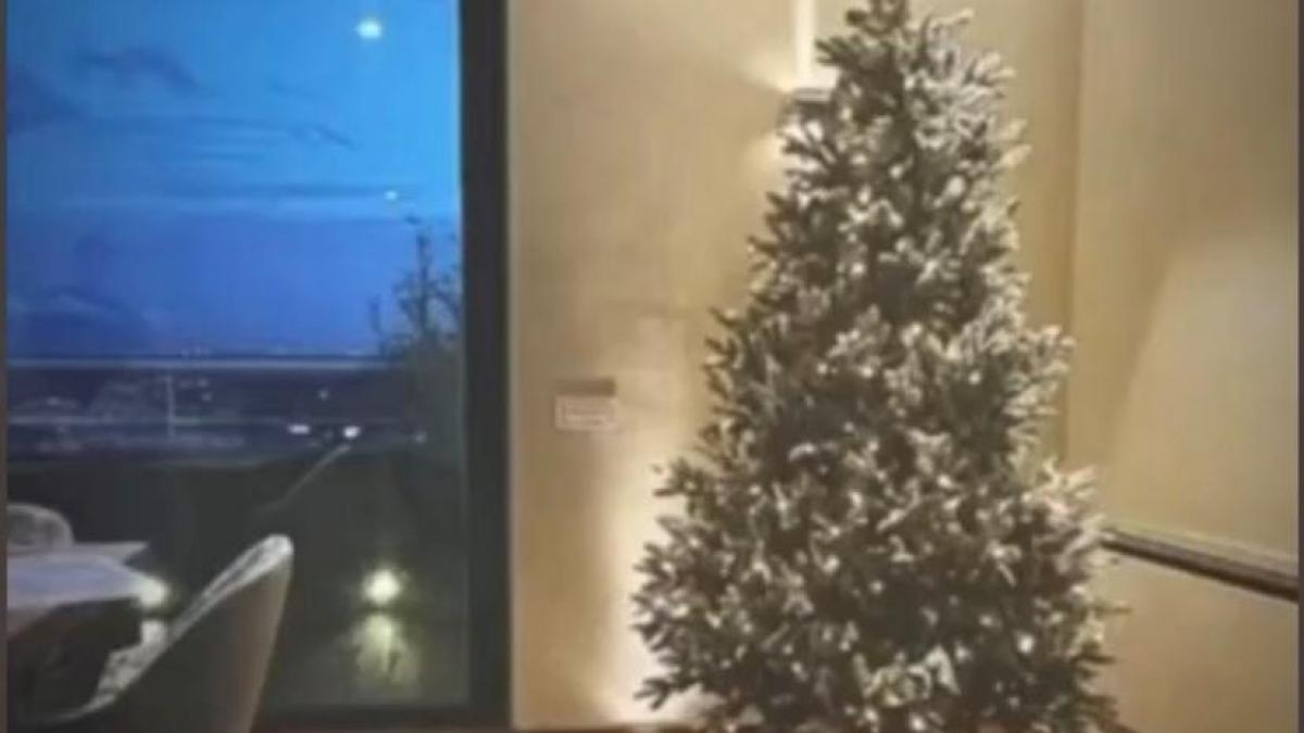 Totti-Noemi, första bilden av det nya hemmet (komplett med julgran)