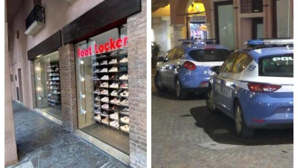 Treviso rapina da Footlocker commessi picchiati per un paio di