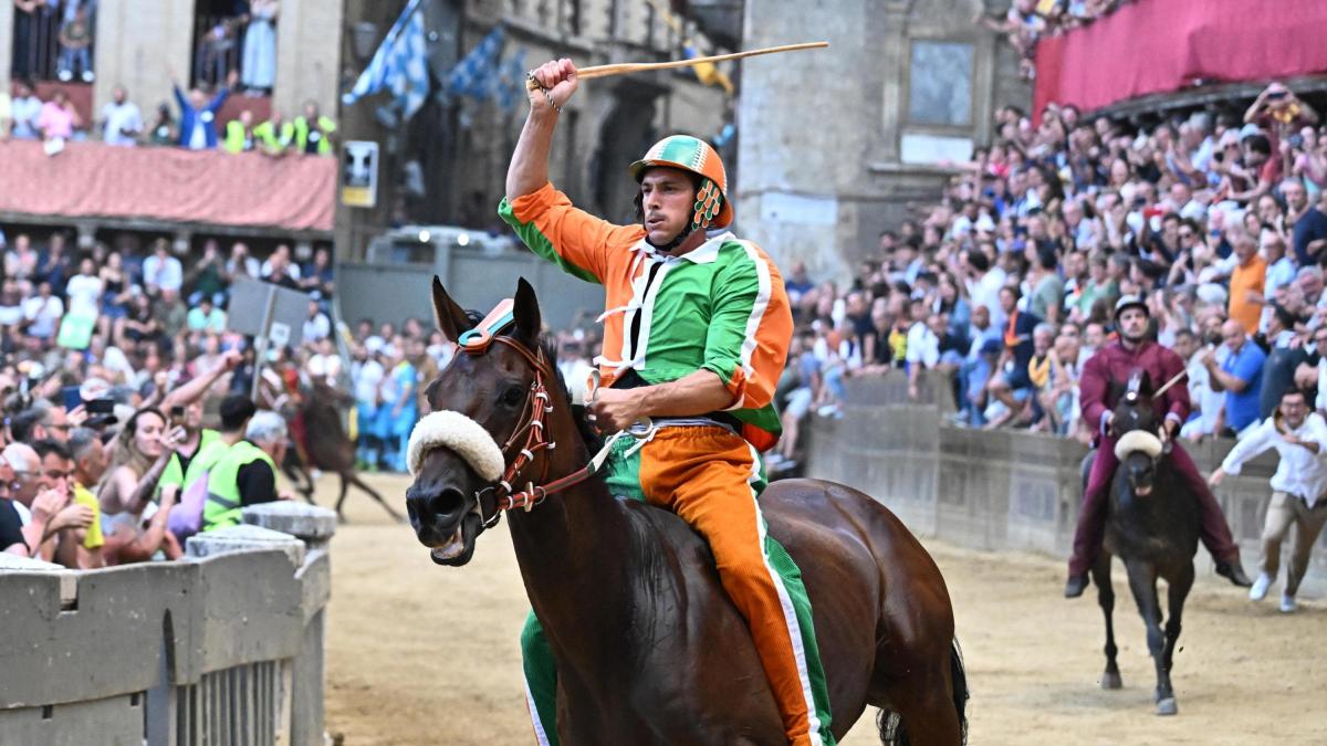 Live Palio Siena 16 de agosto de 2023: favoritos de parejas, distritos y ciclistas