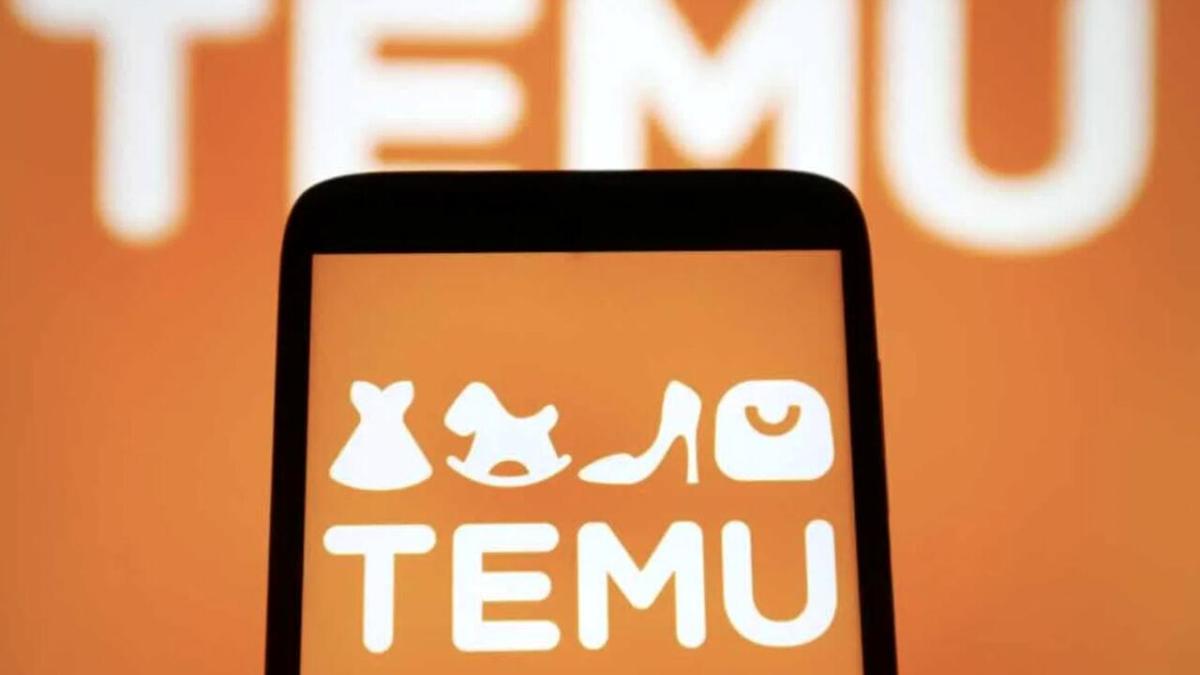 Chi usa di più Temu, l'app di shopping online del 2023? I baby boomer  (nonostante i dubbi su qualità e sicurezza)