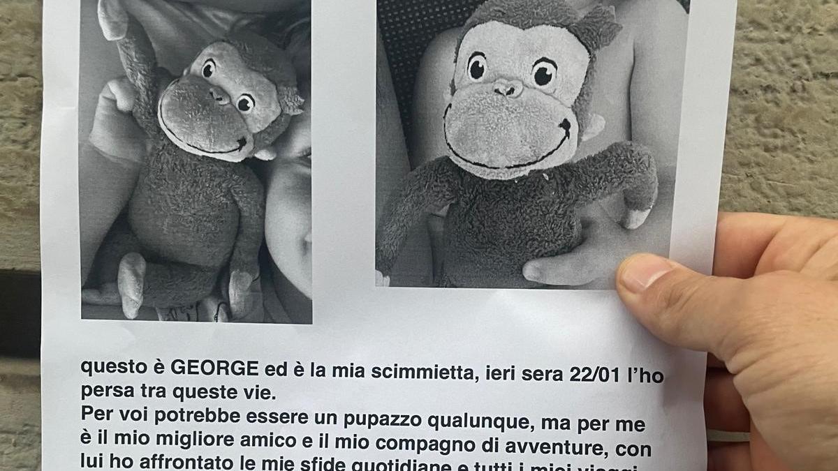 Peluche di shop george
