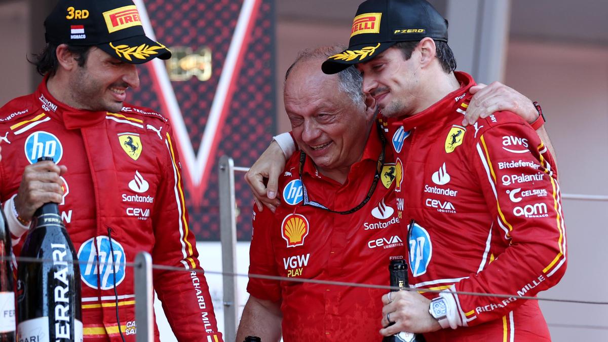 Vasseur: “¿Nuevo? En Ferrari, la colección es más importante que la genialidad. “Hamilton hará que todos sean mejores”.