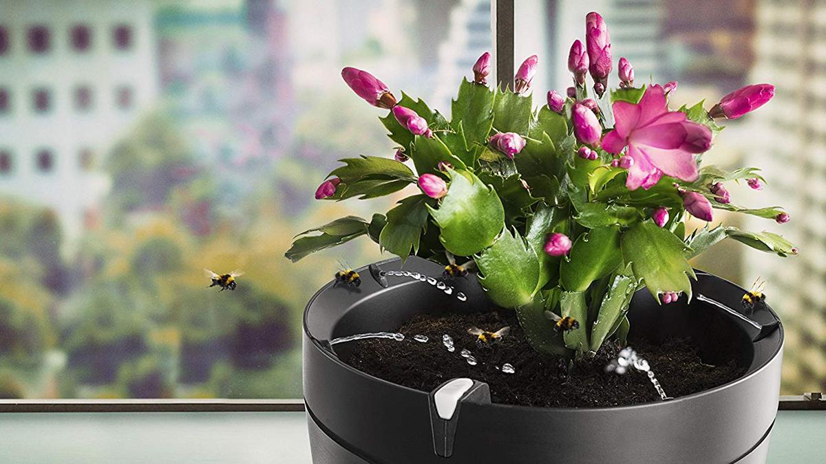 Smart Garden, i vasi che innaffiano automaticamente le piante