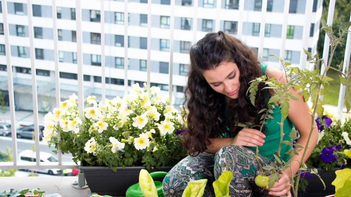 L'orto verticale creato in Italia che porta il chilometro zero sul balcone