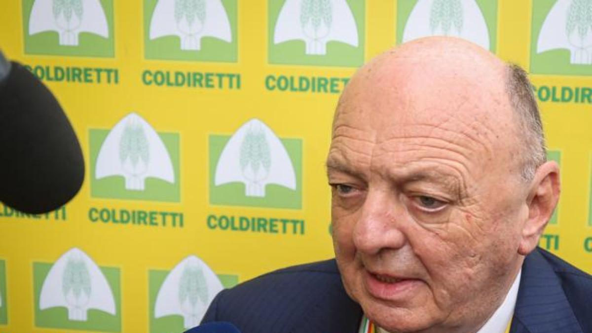 Ischia, Pichetto Fratin: «Arrestare i sindaci». È bufera. Anche Salvini lo accusa