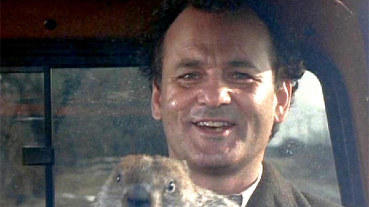 Groundhog Day: what is it and why is it celebrated on February 2 (yes, the movie with Bill Murray is also about this)