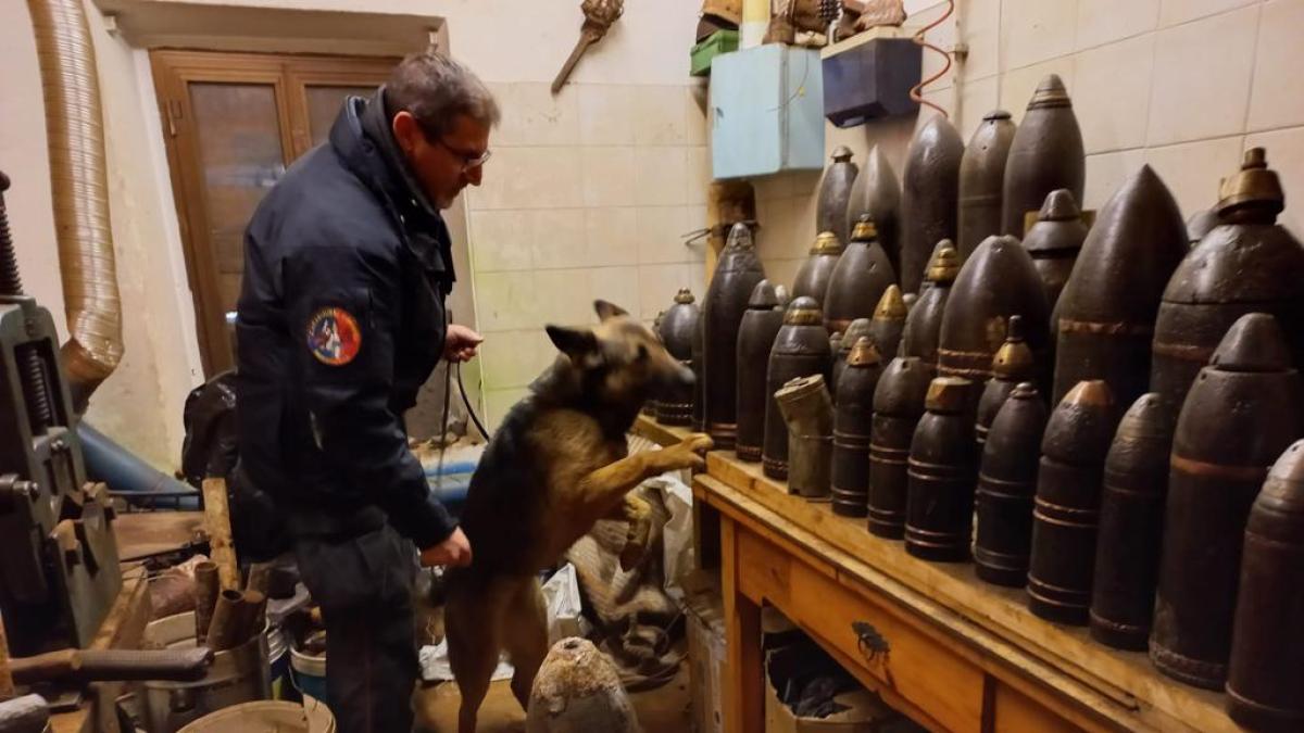 Belluno, via libera alle regole per armare la polizia locale: primo passo i  taser - Corriere delle Alpi