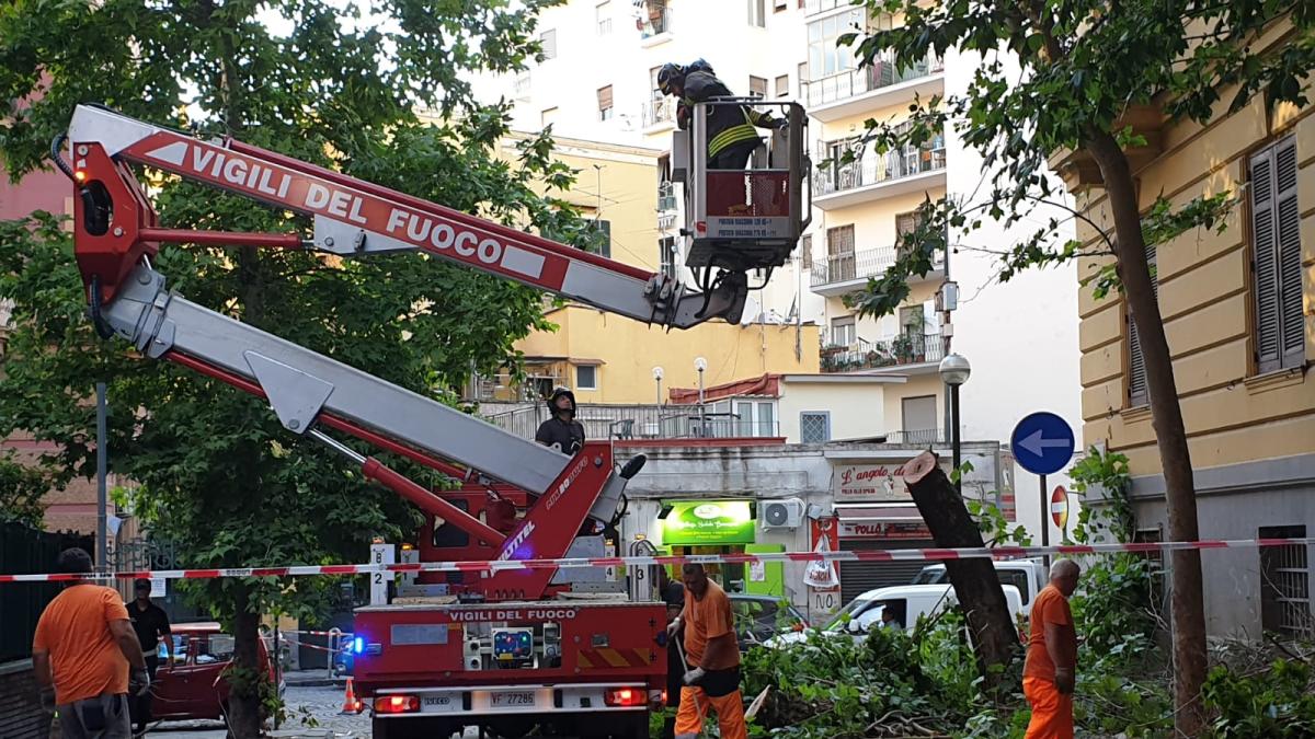 Napoli Cade Albero Al Vomero Strage Sfiorata Corriere It