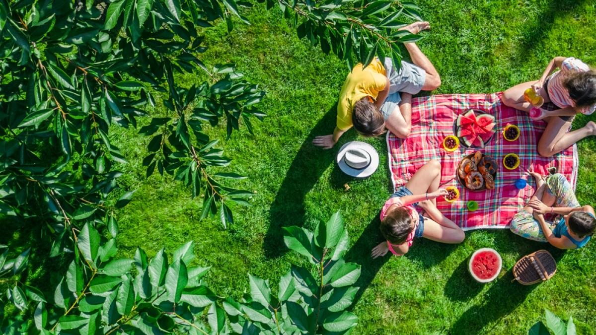 Borsa termica con siberino, Pratica e comoda borsa termica per trasportare  i pasti, sia che andiate al lavoro o a un pic-nic con gli amici sarete  sempre attrezzati al meglio.