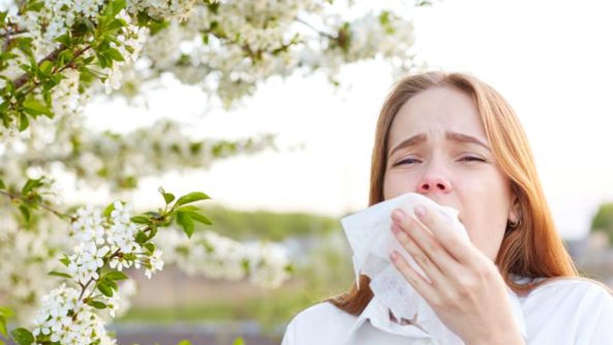Allergie, a Verona 5 mila pazienti l'anno in più «E chi vive in città