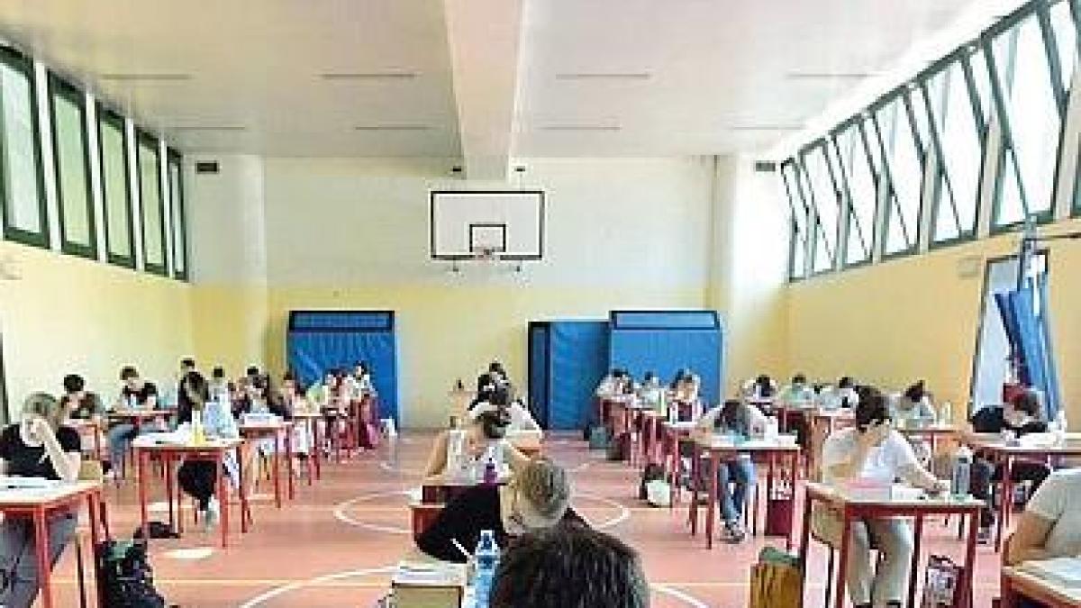 Commissari Esterni Maturità 2024 Motore Di Ricerca Commissari Maturità 2024, i nomi degli esterni sono online: ecco come