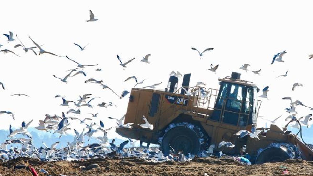 Su Malagrotta «per molti anni grave inerzia della Regione»: per la discarica scatta la confisca