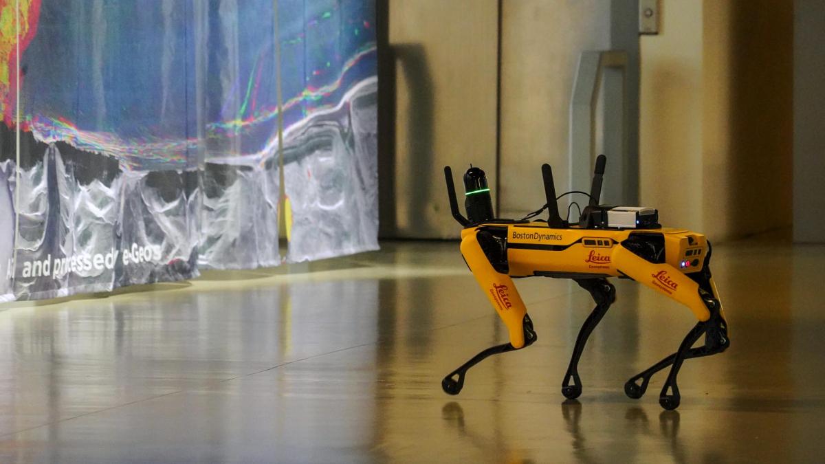 Cani robot per sorvegliare i confini: test negli Stati Uniti 