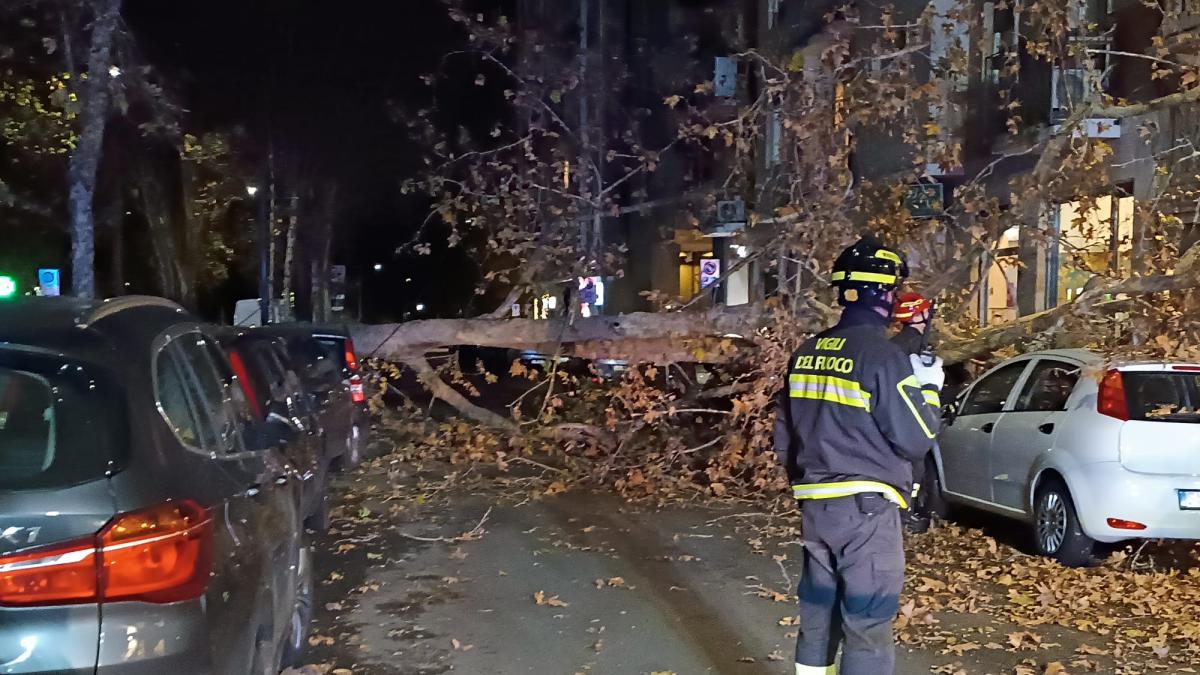 Milano, Raffiche Di Vento Fino A 60 Chilometri Orari: Un Albero Caduto ...