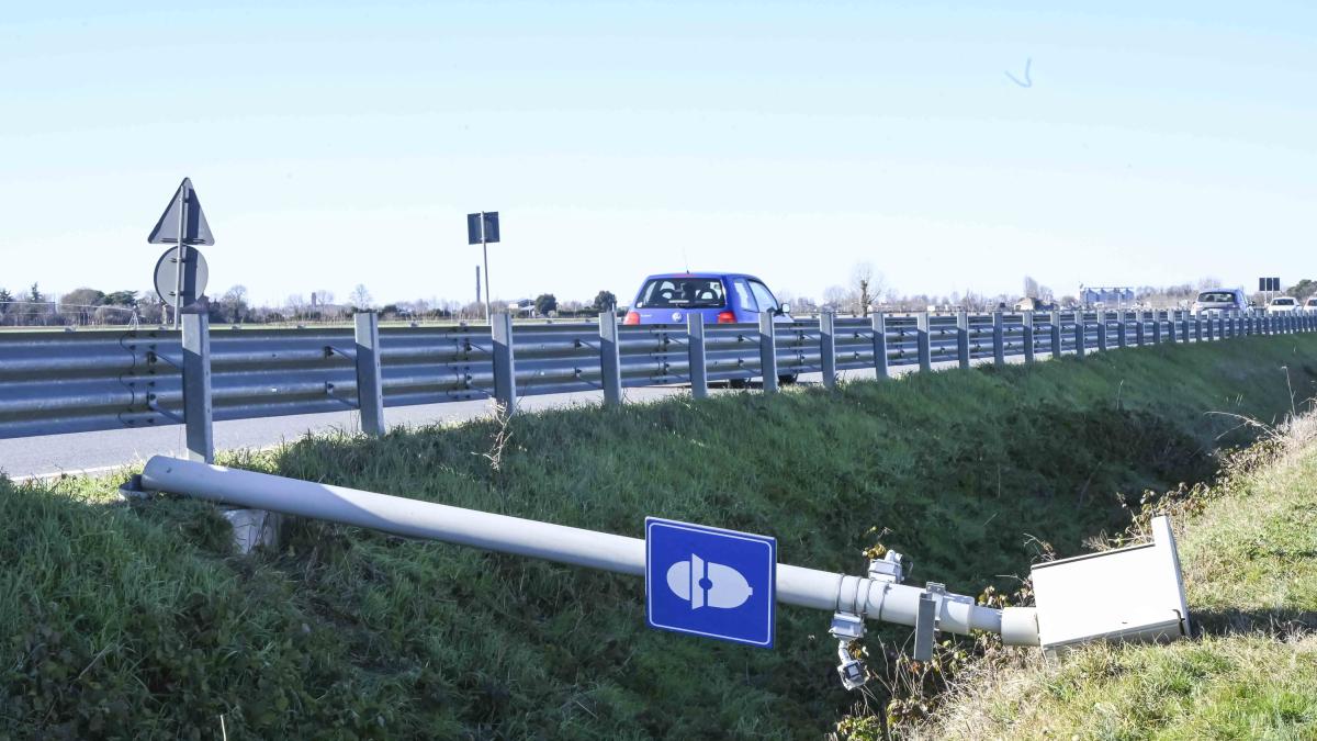 Auto ferma in un'area di servizio, dentro c'è un passeggero morto con la cintura  di sicurezza allacciata - Prima Vicenza