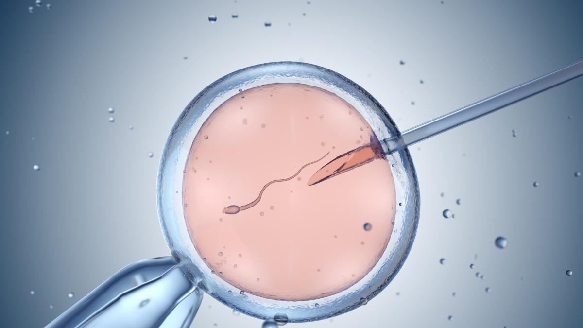 Assisted procreation, the woman can request the implantation of the embryo even if the partner has died or if the relationship has ended