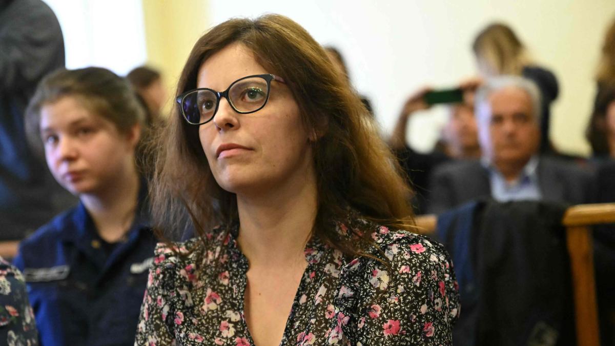Ilaria Salis scrive a Giorgia Meloni: «Chiedo di scontare i domiciliari  nell'ambasciata italiana a Budapest» | Corriere.it