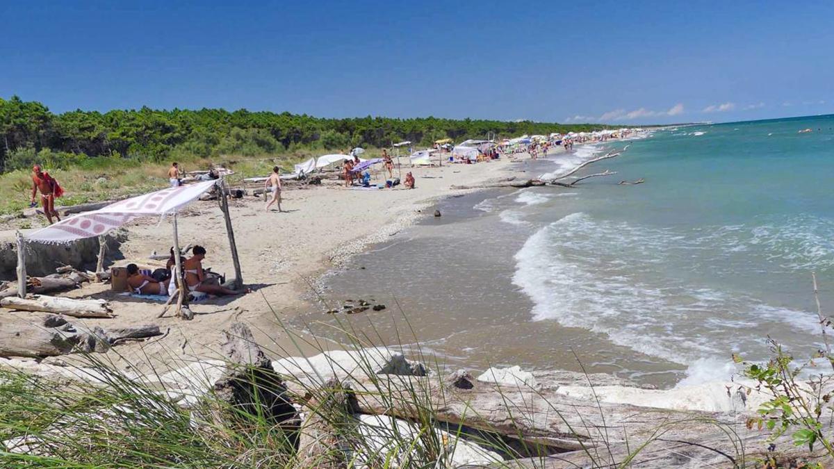 Ravenna, la spiaggia naturista «assaltata» da scambisti e guardoni: «Una  barriera per proteggerla dai non residenti» | Corriere.it