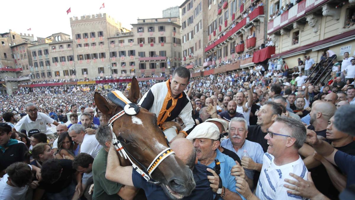 Lupa vann Palio di Siena i augusti: Velluto (den senior riddaren) förstörde därmed Tittia och Porcupine