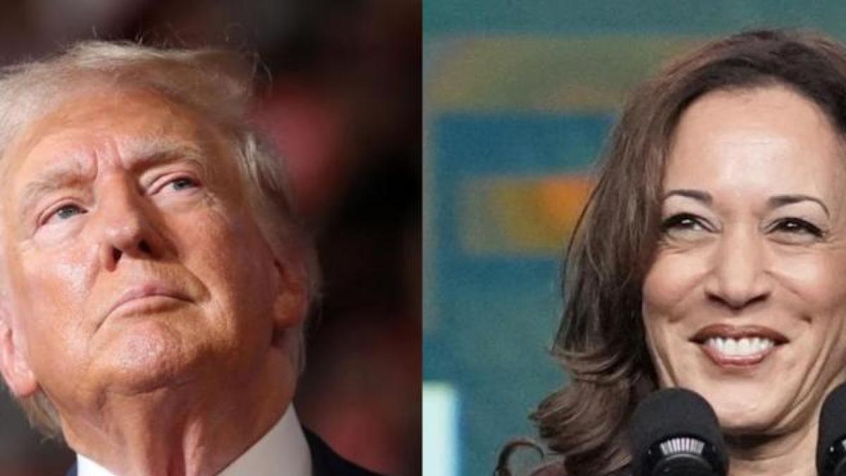 Trump-Harris… un estado de desafío a menos de tres meses de la votación: una mini guía de las elecciones presidenciales de EE. UU.