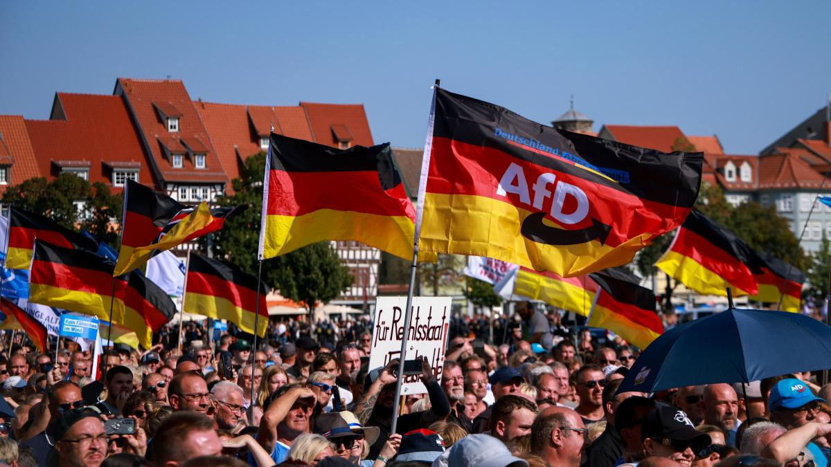 Germania, Afd dichiarato «partito di estrema destra»: «Un pericolo per la democrazia». Cosa cambia Germania, Afd dichiarato «partito di estrema destra»: «Un pericolo per la democrazia». Cosa cambia