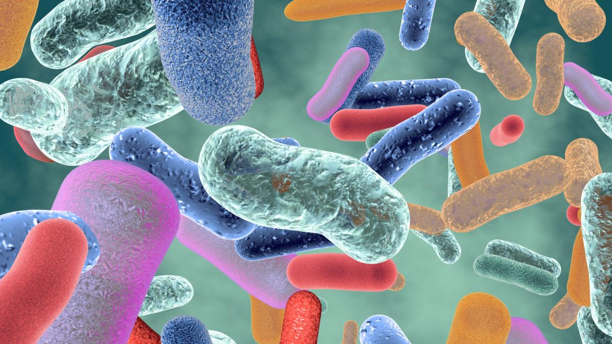 Il Potere del Microbiota: Come il tuo Ecosistema Intestinale Influisce sulla Salute