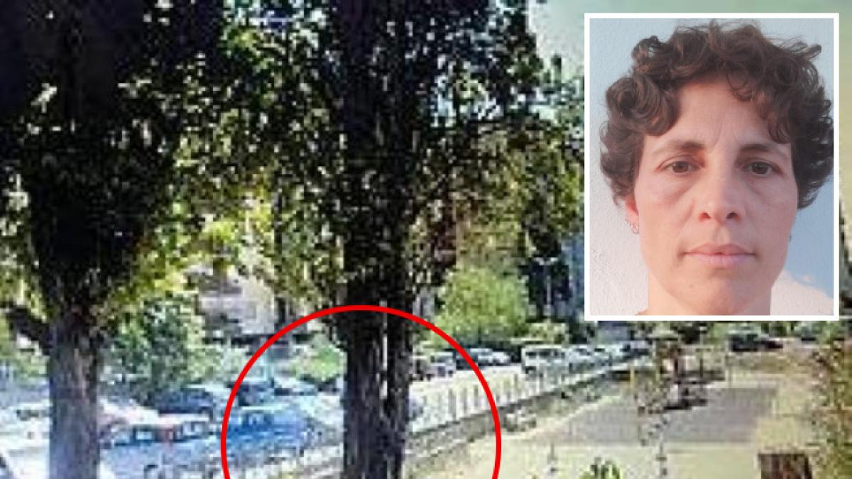 Morte Francesca Ianni, era malato il pioppo che la uccise ma la patologia («carie bianca») non fu diagnosticata