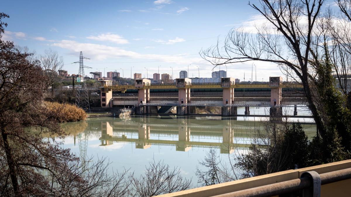 Le 15 domande di Natale: il Questionario dell'Avvento per ragazzi