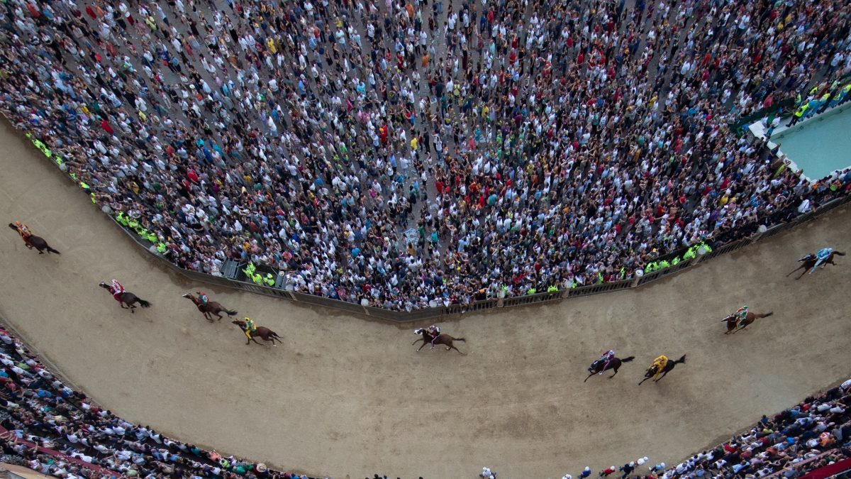 Palio di Siena, assegnazione dei cavalli: la sorte bacia Tartuca e Chiocciola