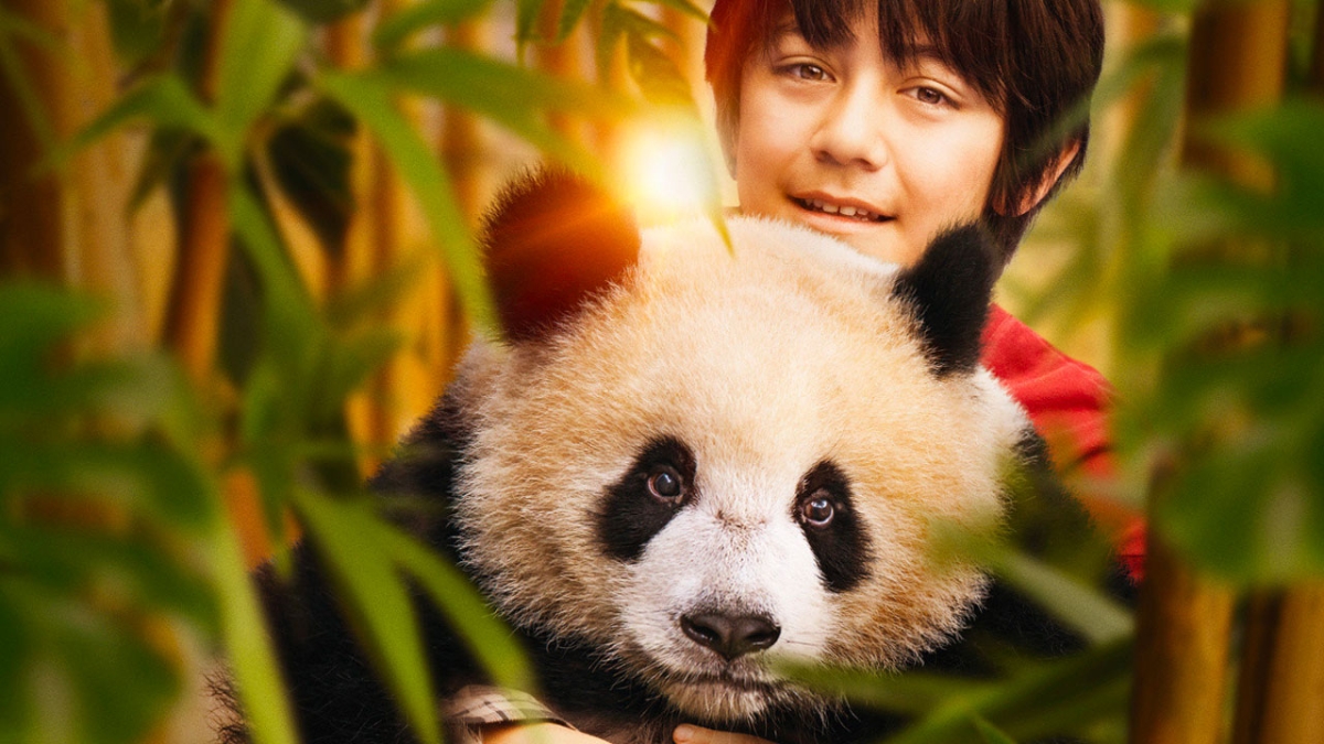 Il regista Gilles de Maistre, «Un panda e un bambino, una storia senza effetti speciali»