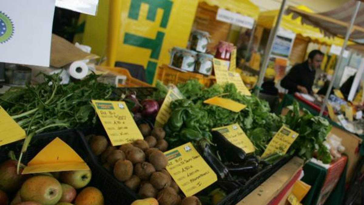 Roma, il mercato «Campagna amica» di Coldiretti arriva in piazza Maresciallo Giardino a Prati