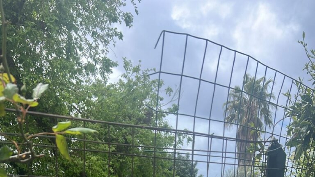 Capri, trovato morto il poeta Daniele Vuotto: era scomparso sei giorni fa