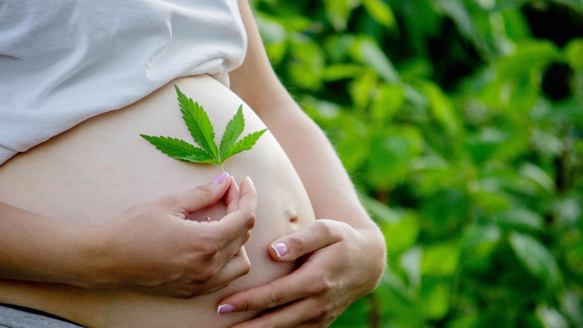 Cannabis in Gravidanza e Allattamento: Rischi Reali per il Bambino - Tutto Quello che Devi Sapere