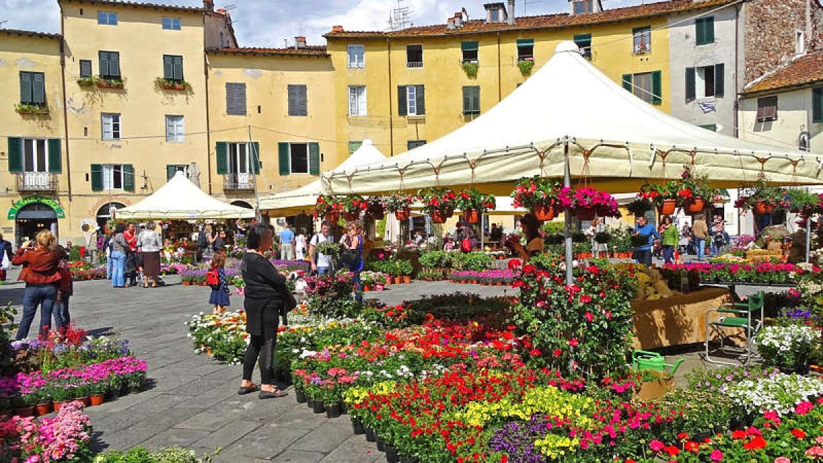 Lucca si riempie di fiori e dolci per la tradizionale festa di Santa Zita
