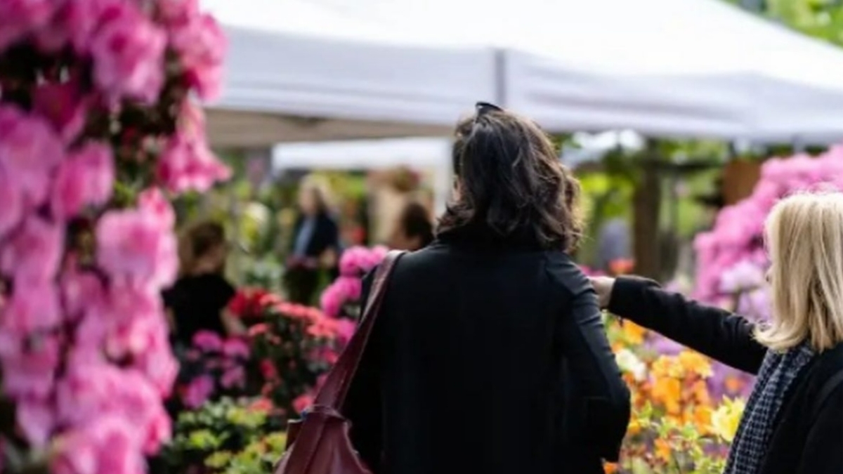Firenze, Mostra dei fiori 2025: tante le piante da scoprire ma anche incontri e laboratori