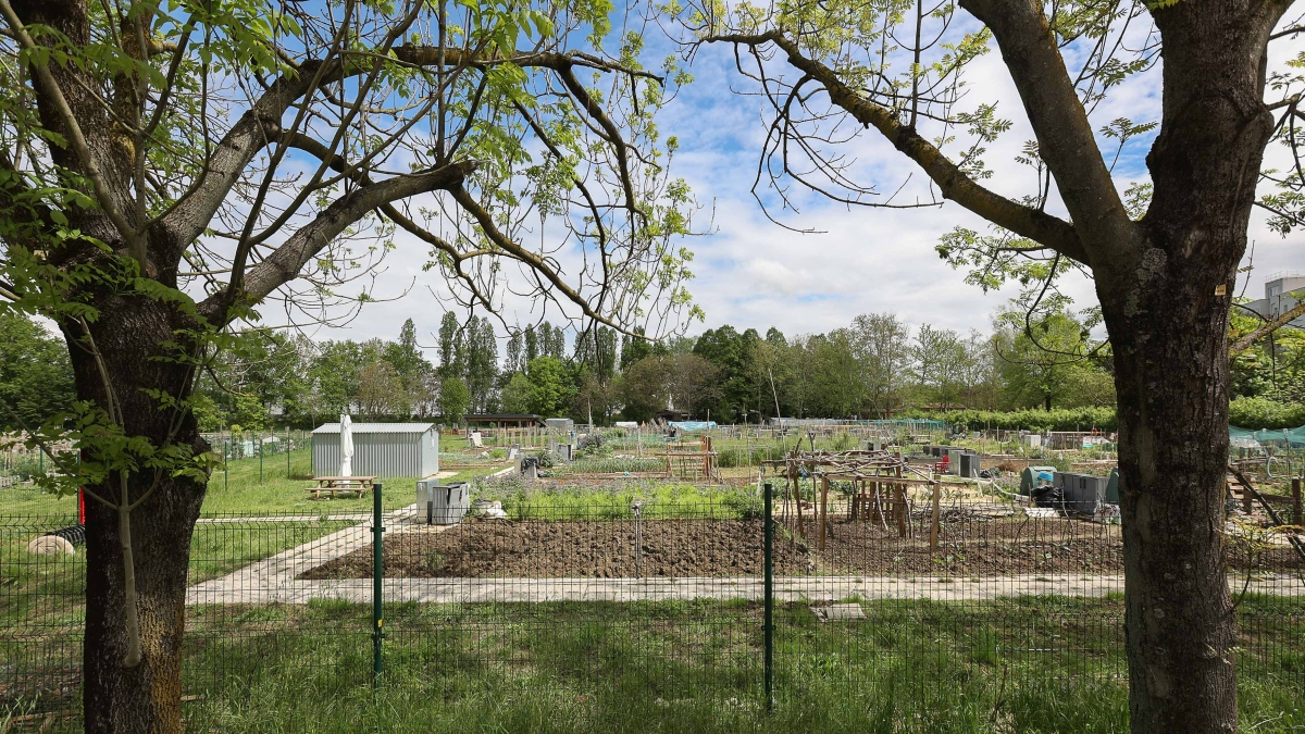 Bologna, la grande corsa agli orti comunali: «4.300 persone in attesa, c'è chi aspetta un pezzo di terra da 15 anni»
