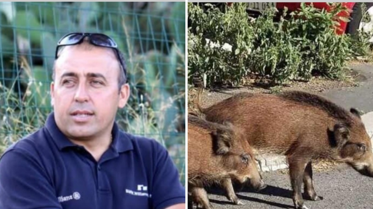 Isola d'Elba, lo sfogo del figlio dell'uomo ucciso in moto da un cinghiale: «Che vergogna i commenti degli animalisti»