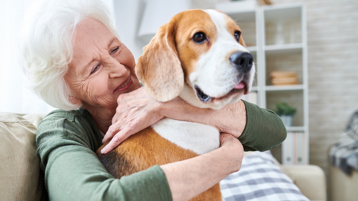 Cani e gatti migliorano la nostra salute. E il sistema sanitario risparmia 4 miliardi all'anno