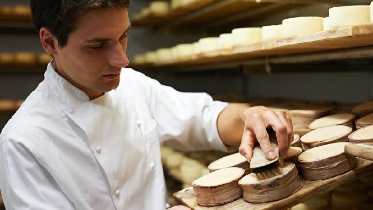 Festival dei formaggi a Borgarello, prodotti di nicchia (con carbone vegetale o corteccia di abete rosso): giovani casari, degustazioni e laboratori
