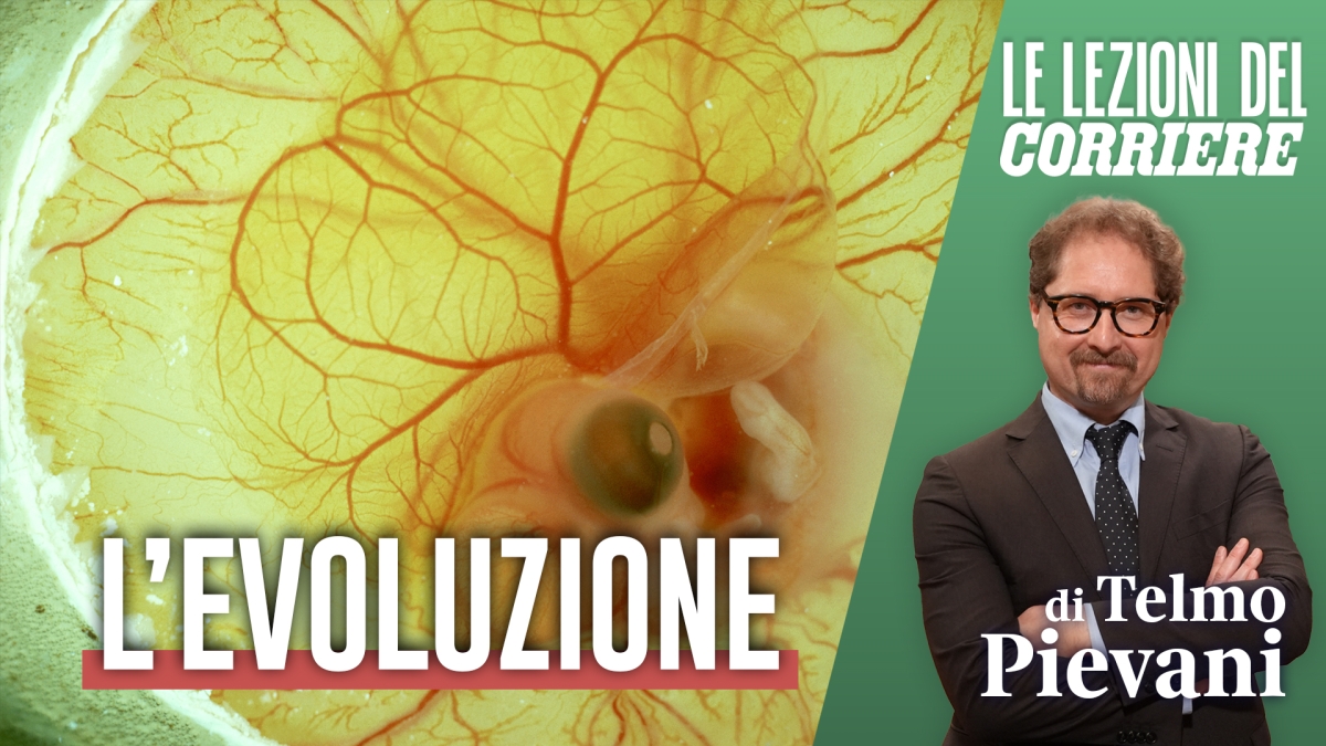Chi siamo, da dove veniamo: ecco il racconto di Darwin