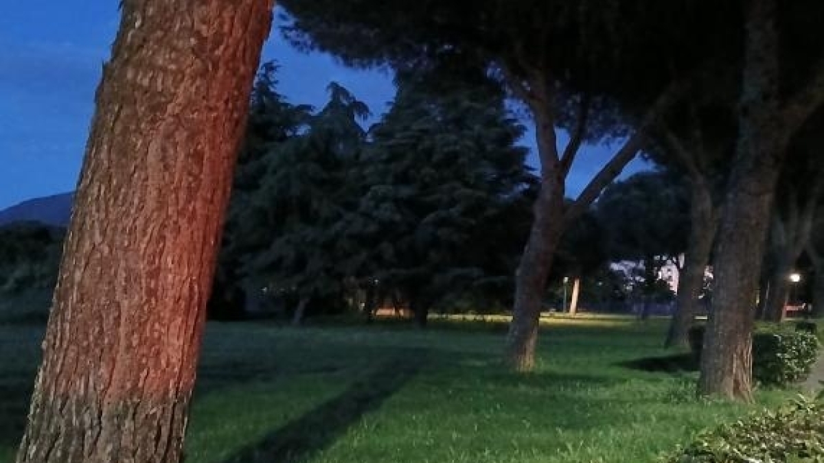 Omicidio a Prato, fermato il 17enne che avrebbe ucciso un uomo ai giardini