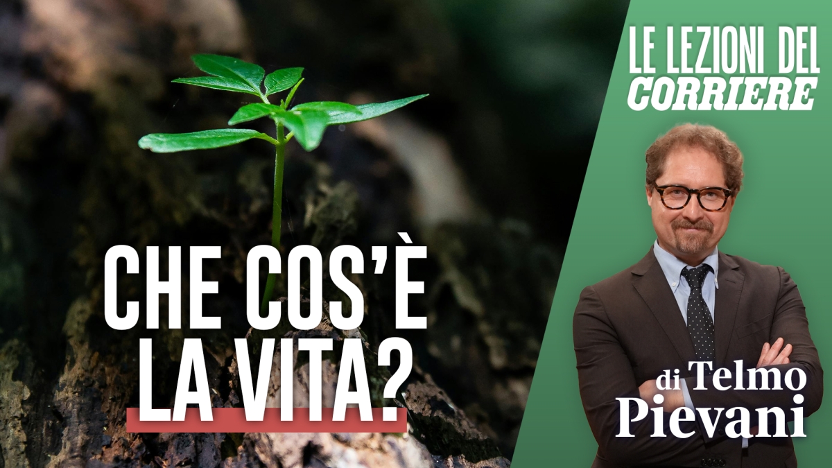 Così è nata la vita: il grande thriller della biologia