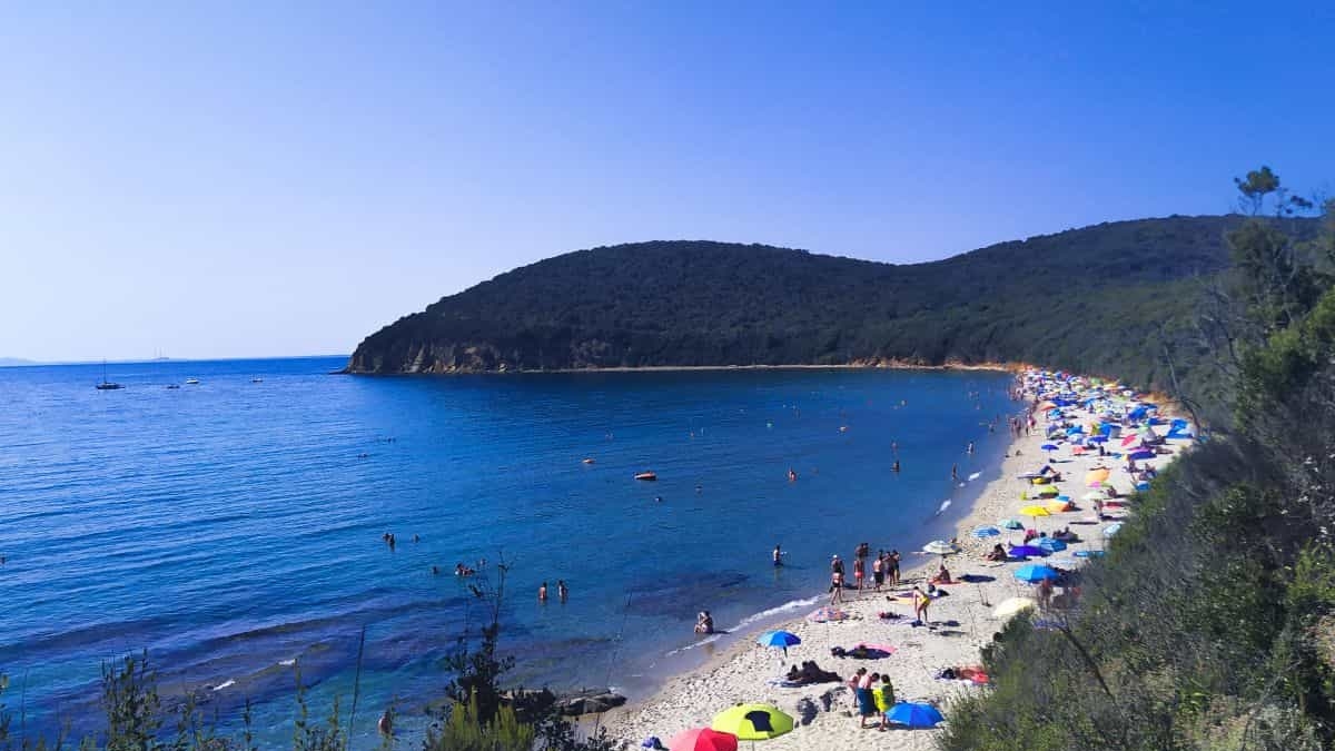 Cala Violina a numero chiuso dal 1 giugno (e per la prima volta arriva il bagnino)