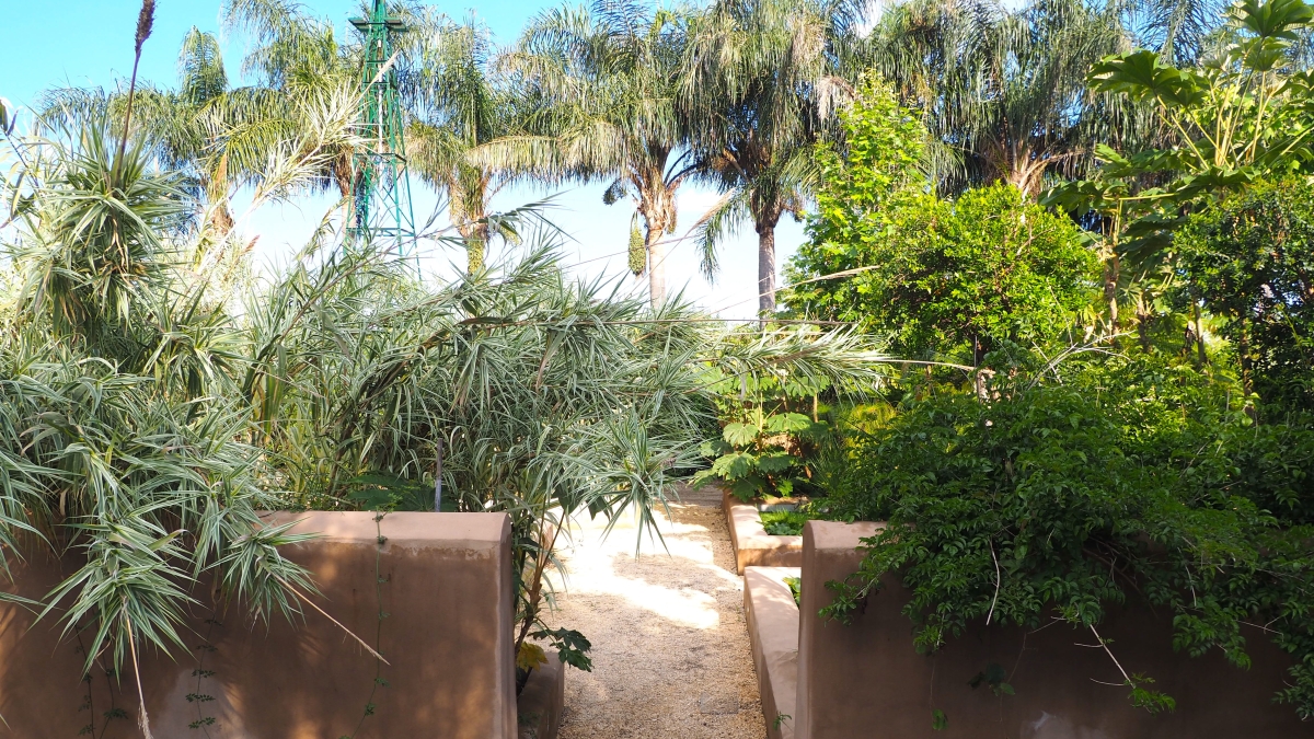 Se il verde incontra il design: il «Vento e acqua» di Pejrone nella Sicilia magica di Giarre