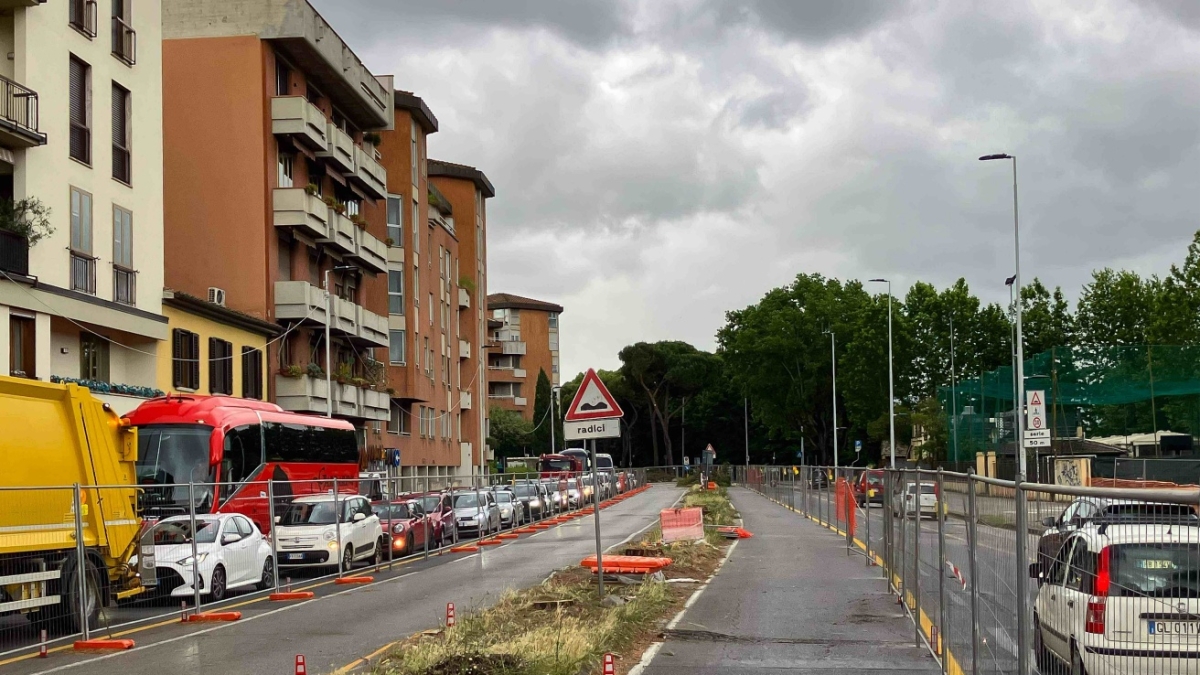 Firenze, gli alberi abbattuti per la tramvia e i post dei residenti: «Mi scendono le lacrime»