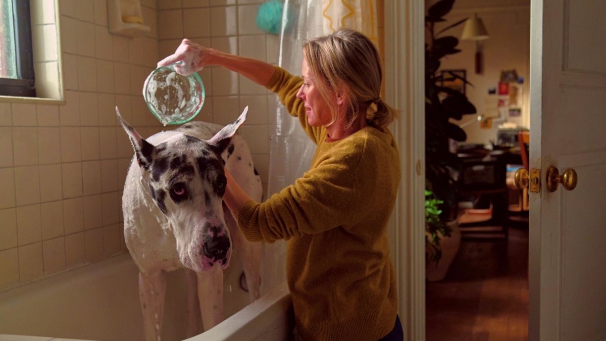 «L'amico fedele», Naomi Watts e l'alano triste: commoventi peripezie canine (voto 8)
