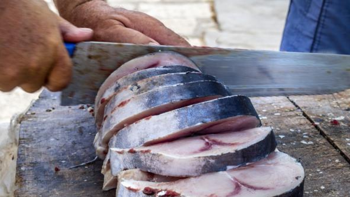 Roma, sequestrati 500 chili di prodotti ittici: sui banchi anche pesce scaduto e con parassiti