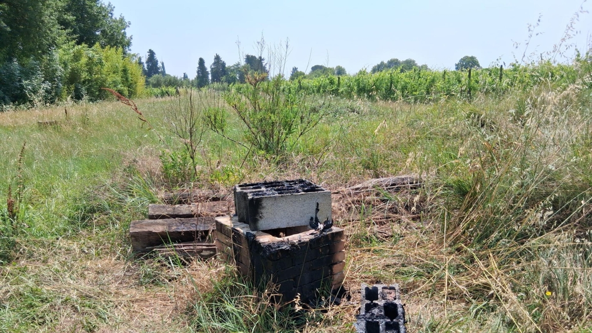 Omicidio di Denisa Paun, trovati resti umani, capelli e un paio di slip da donna nel giardino del killer