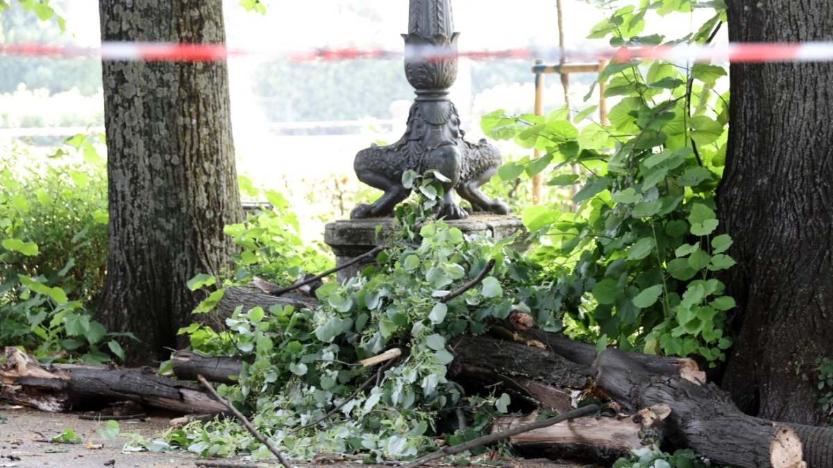 Firenze, colpita da un ramo alle Cascine: migliorano le condizioni della ragazza