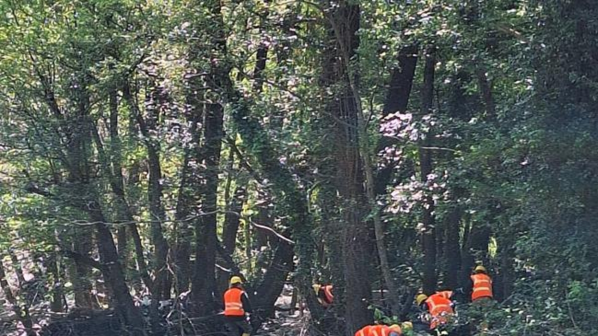 Per la discarica fantasma del Rovigo pulizie straordinarie a luglio